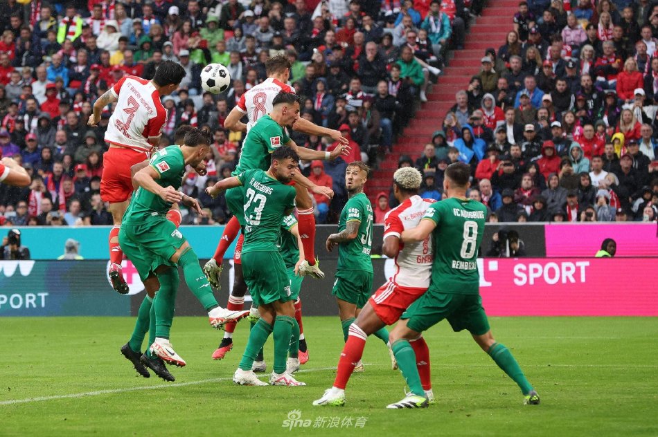 的胜利来回 的胜利来回