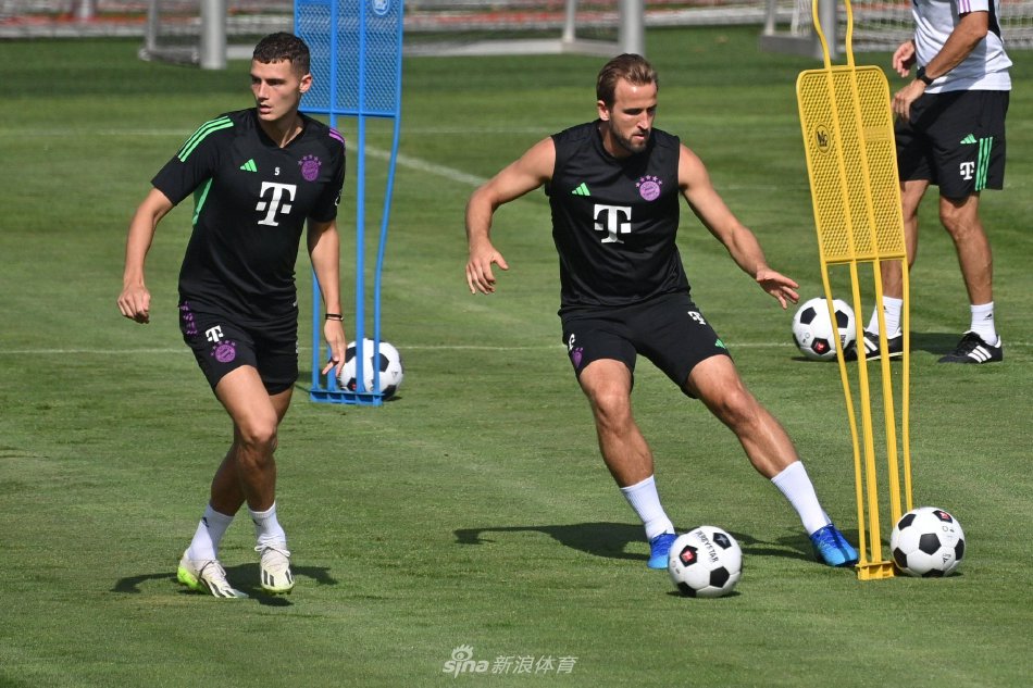 心理的沉着 心理的沉着